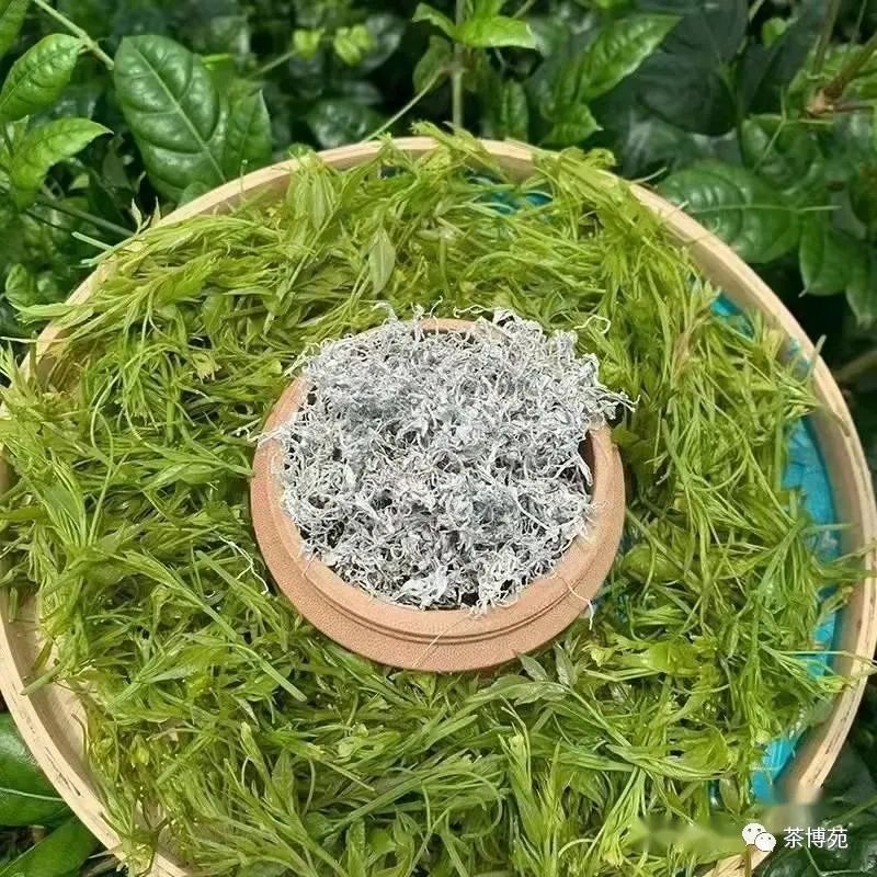 富硒霉茶有什么功效（霉茶有什么功能和疗效）-硒宝网