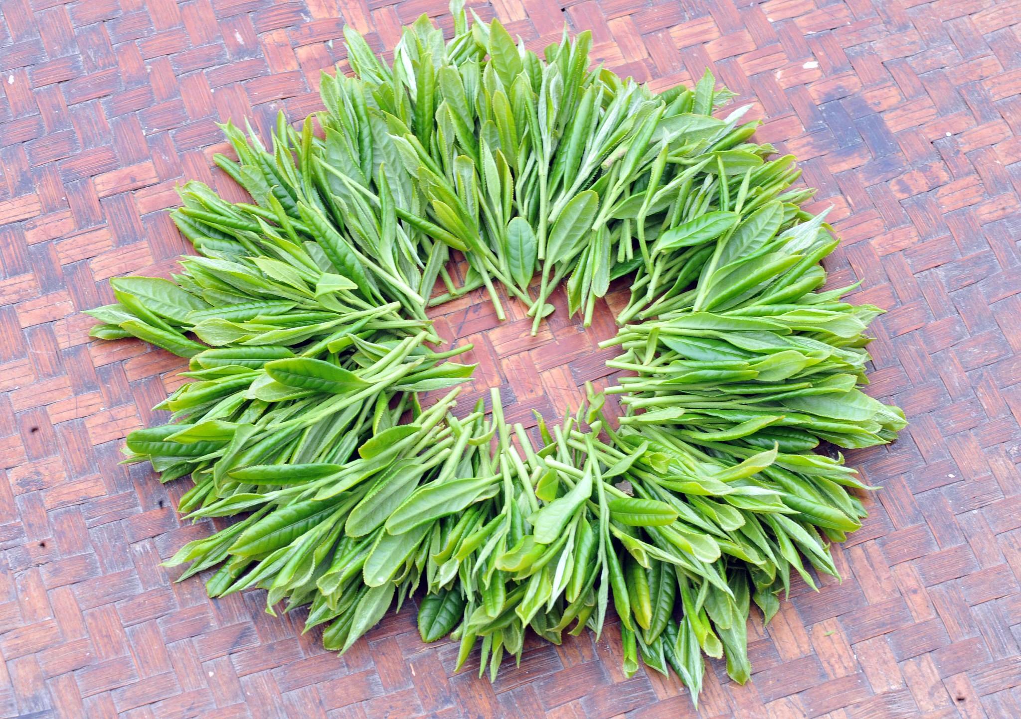 蓝芝茶业富硒有机茶(蓝芝茶叶)-硒宝网