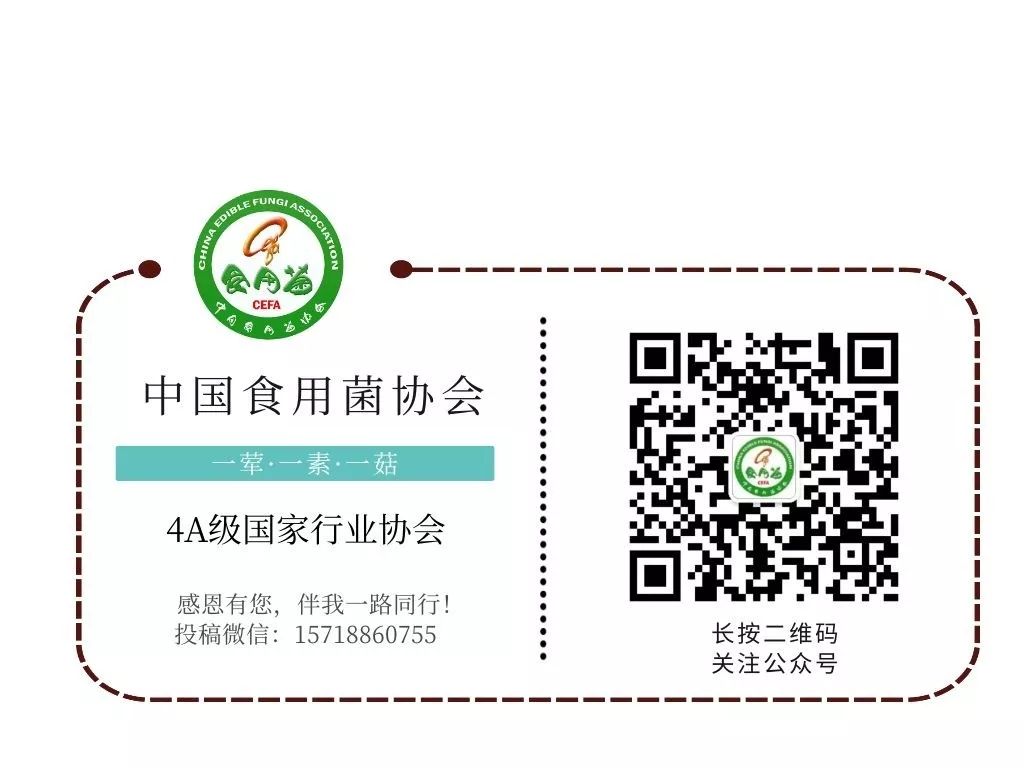 辽宁富硒普洱茶加工(辽宁茶加工普洱富硒茶的地方)-硒宝网