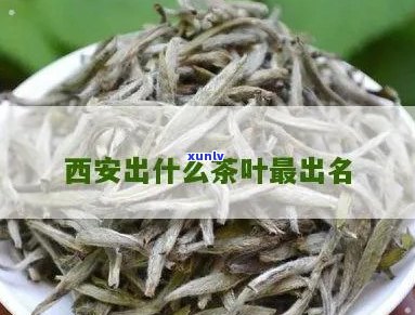 富硒茶陕南汉中绿茶（汉中绿茶的功效与作用）-硒宝网