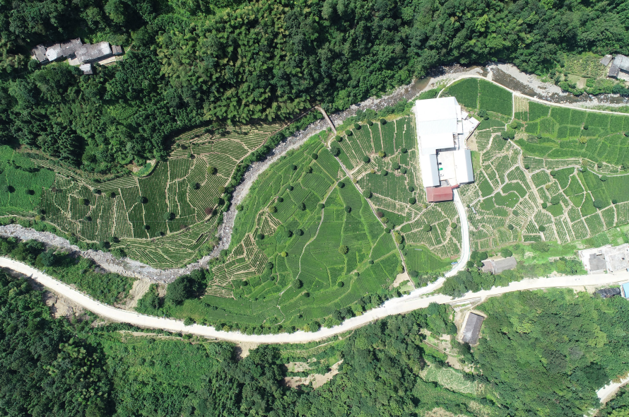 紫阳富硒茶哪地方好(紫阳富硒茶文化)-硒宝网