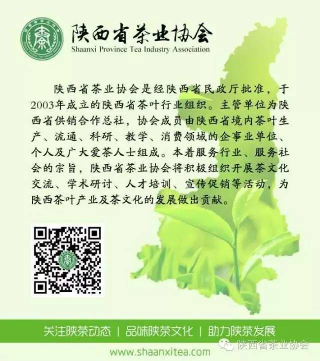 紫阳富硒茶哪地方好(紫阳富硒茶文化)-硒宝网