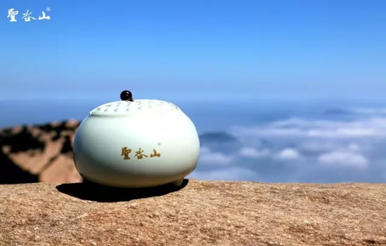 日照绿茶富硒明前茶（日照绿茶明前的好还是明后的好）-硒宝网