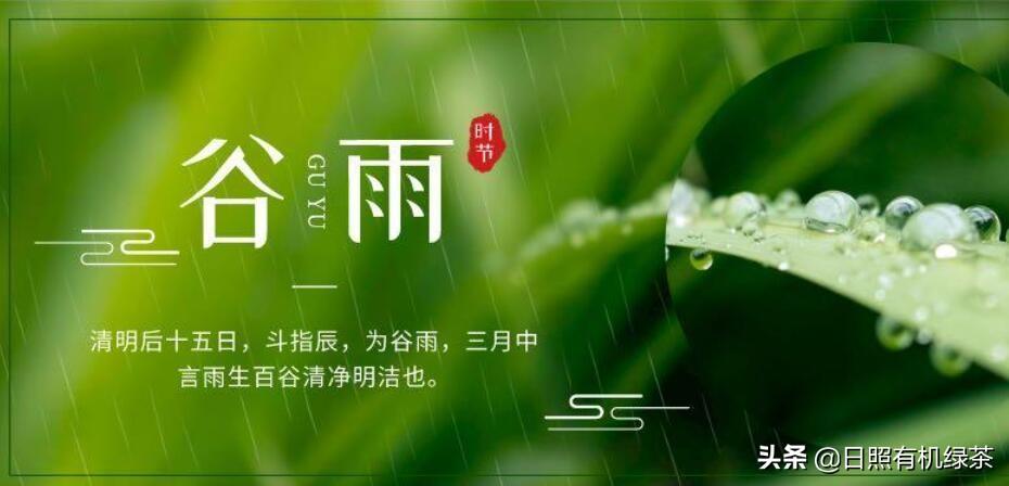 日照绿茶富硒明前茶(日照绿茶有明前茶吗)-硒宝网