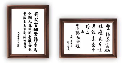 紫阳富硒分几种茶类(紫阳茶叶含硒量)-硒宝网