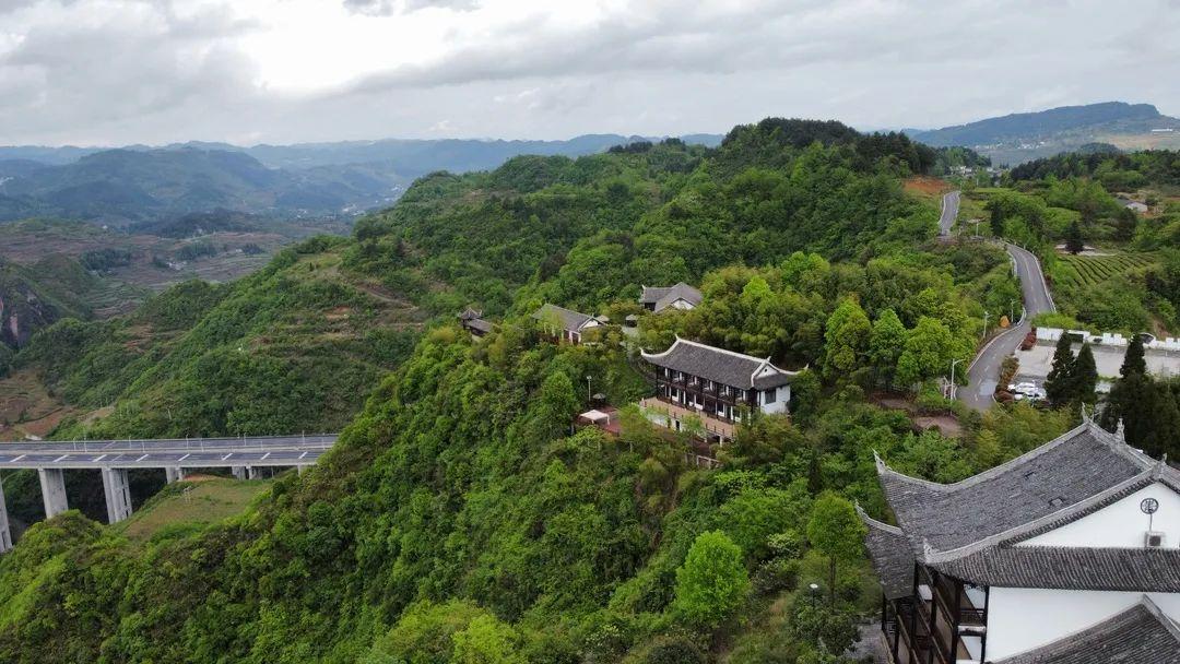 开阳产富硒茶有几种（开阳富硒茶多少钱一斤）-硒宝网