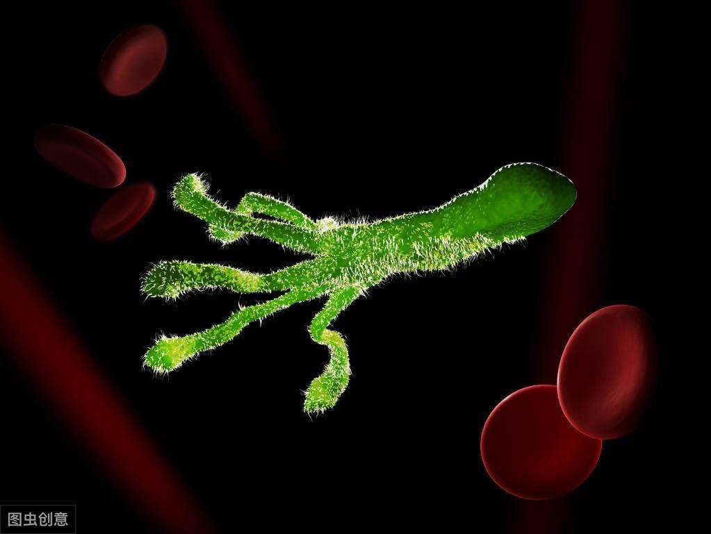 微量元素检查有必要吗（必要微量元素检查有几项）-硒宝网