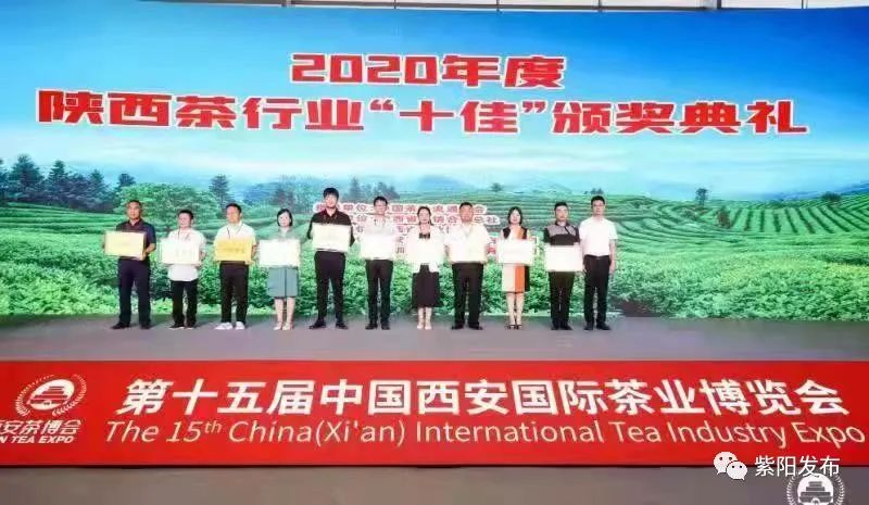 紫阳富硒茶安康闽秦（紫阳县闽秦茶业有限公司）-硒宝网