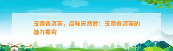 受欢迎的富硒茶玉露（中茶玉露）-硒宝网