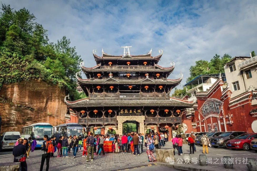 高山流水野生富硒茶（高山流水茶叶价格）-硒宝网