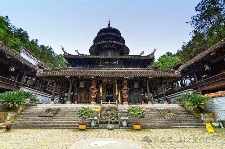 高山流水野生富硒茶（高山流水茶叶价格）-硒宝网