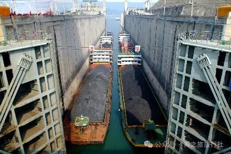 高山流水野生富硒茶（高山流水茶叶价格）-硒宝网