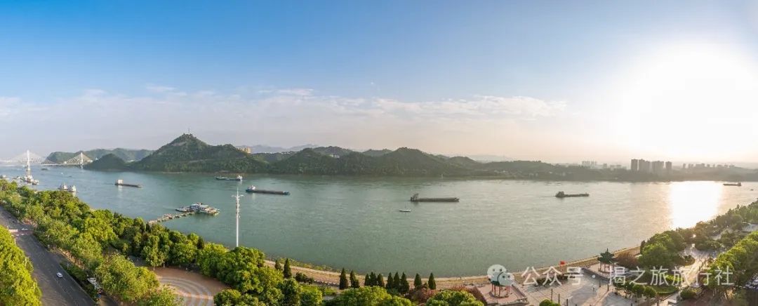 高山流水野生富硒茶（高山流水茶叶价格）-硒宝网