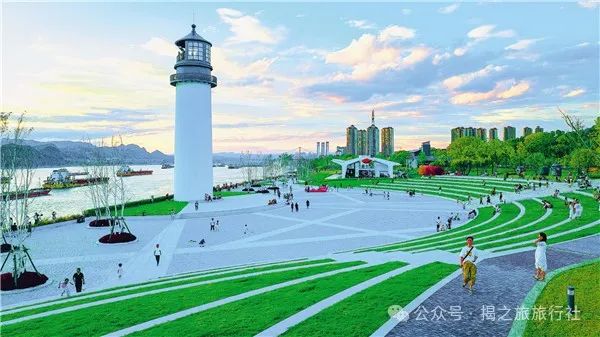 高山流水野生富硒茶（高山流水茶叶价格）-硒宝网