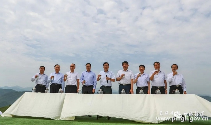 陕西富硒茶在哪个山(富硒茶园)-硒宝网