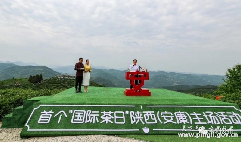 陕西富硒茶在哪个山(富硒茶园)-硒宝网