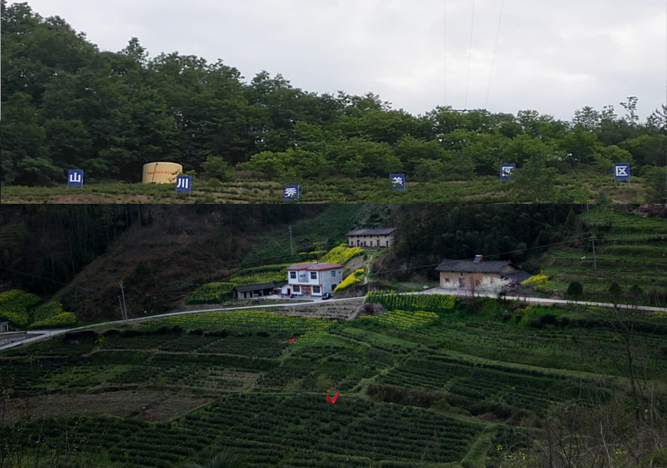 安康市汉滨区富硒茶（安康富硒茶简介）-硒宝网