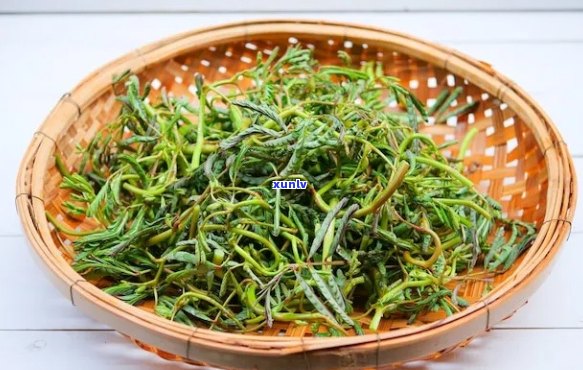 富硒苦荞茶功能作用(苦茶苦荞茶的功效)-硒宝网