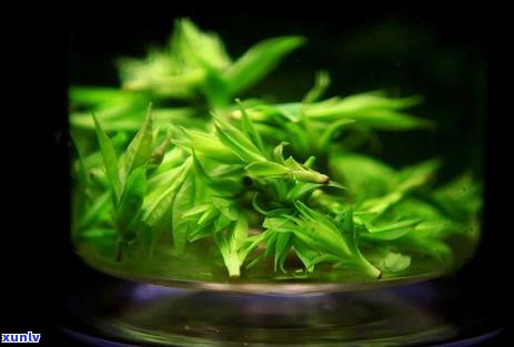 富硒苦荞茶功能作用(苦茶苦荞茶的功效)-硒宝网