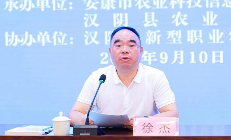 强安康富硒茶的做法(安康富硒茶的功效与作用)-硒宝网