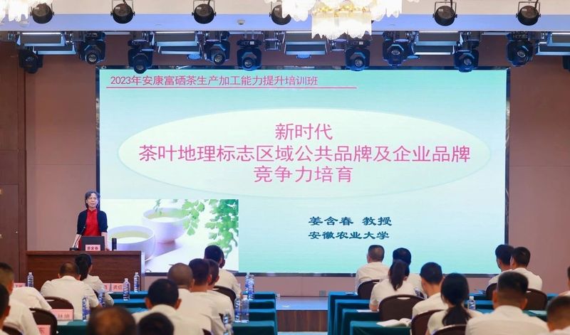 强安康富硒茶的做法(安康富硒茶的功效与作用)-硒宝网