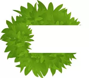 酸奶可以补钙吗（酸奶补钙可以长高吗）-硒宝网