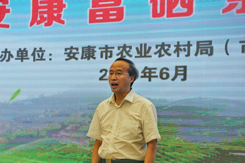 安康富硒茶历史文化（安康茶产业发展现状及特征）-硒宝网