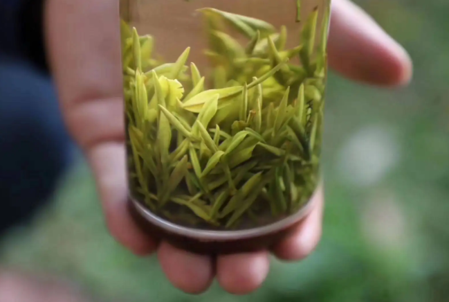 非富硒茶有哪些品种(茶品种富硒有哪些种类)-硒宝网