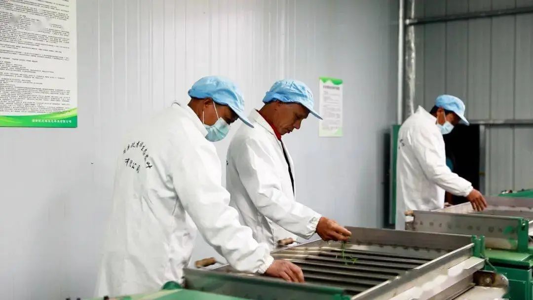 富硒茶的功效和作用(富硒茶的营养价值)-硒宝网