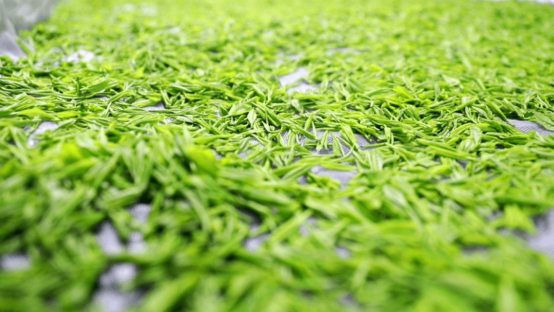 富硒茶的功效和作用(富硒茶的营养价值)-硒宝网