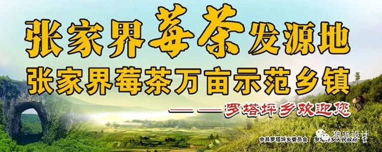 野生富硒藤茶的功效（野生富硒藤茶的功效）-硒宝网