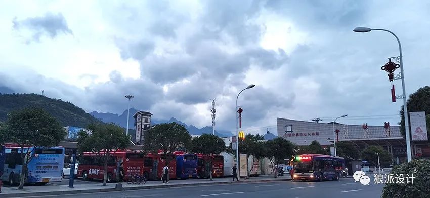 野生富硒藤茶的功效（野生富硒藤茶的功效）-硒宝网