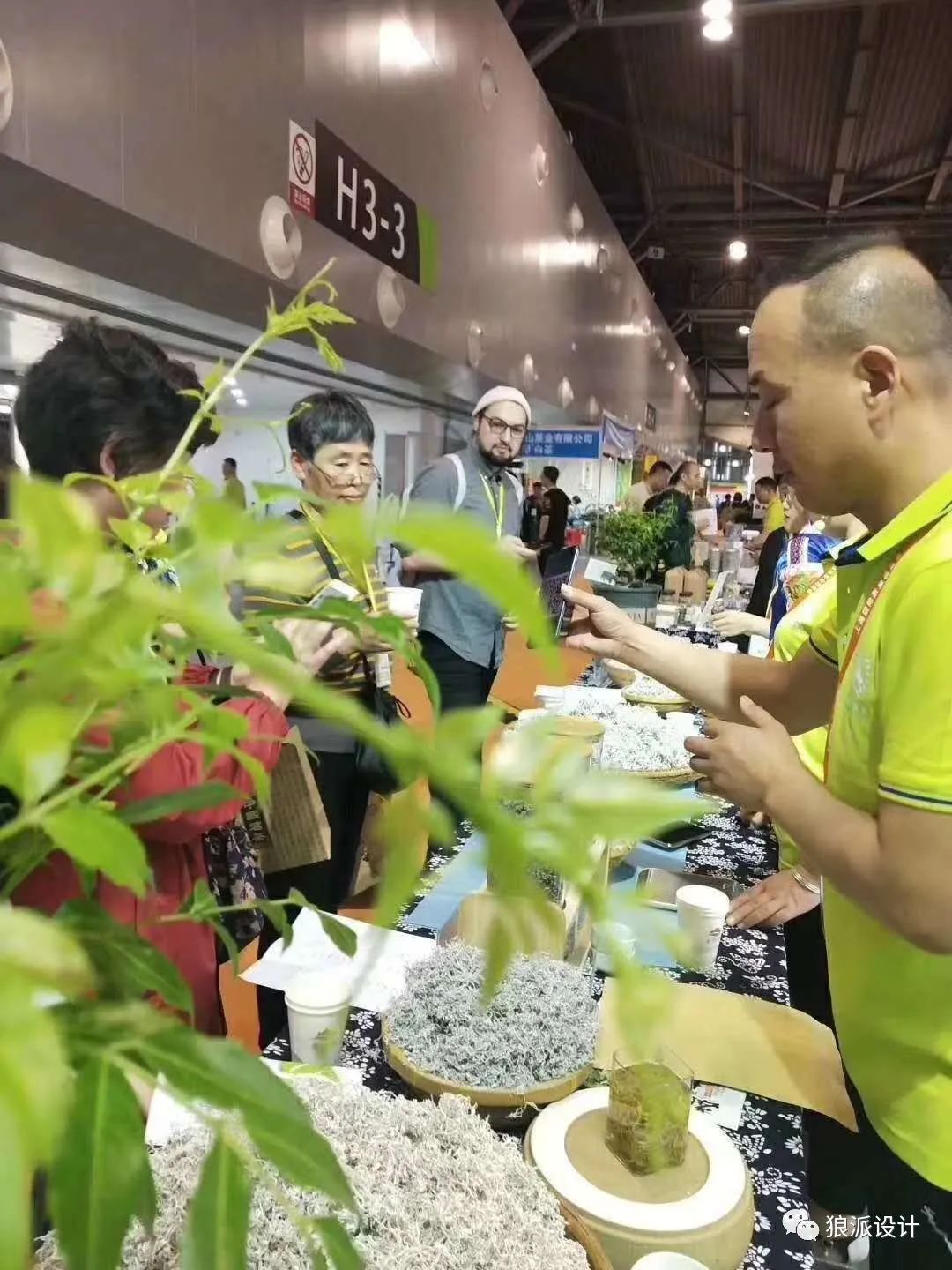 野生富硒藤茶的功效（野生富硒藤茶的功效）-硒宝网