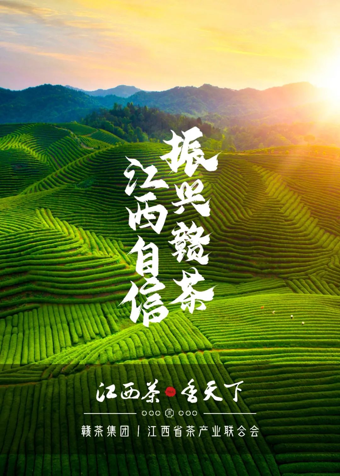 富硒茶国际市场现状(中国富硒茶之乡)-硒宝网