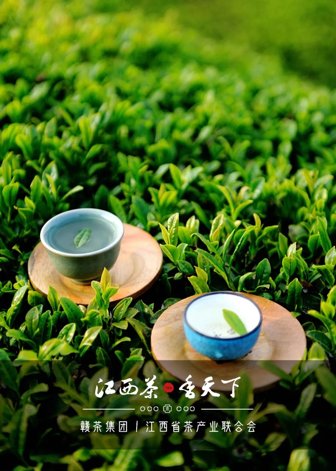 富硒茶国际市场现状(中国富硒茶之乡)-硒宝网