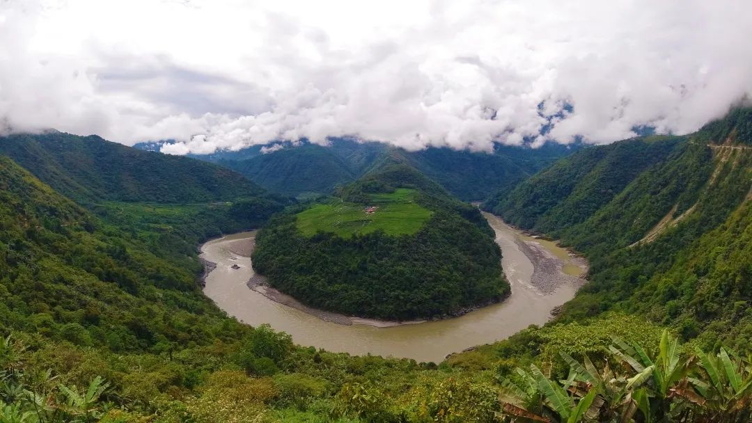 富硒茶国际市场现状(中国富硒茶之乡)-硒宝网