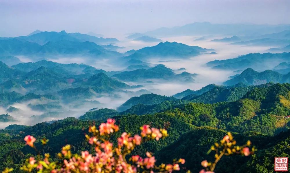 富硒茶国际市场现状(中国富硒茶之乡)-硒宝网