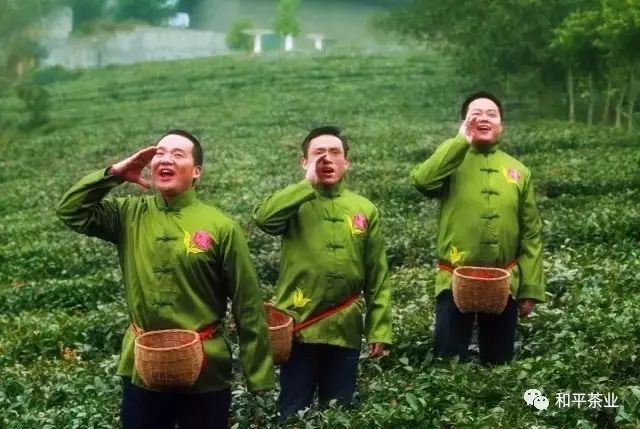 天然手工炒制富硒茶(富硒茶的做法)-硒宝网