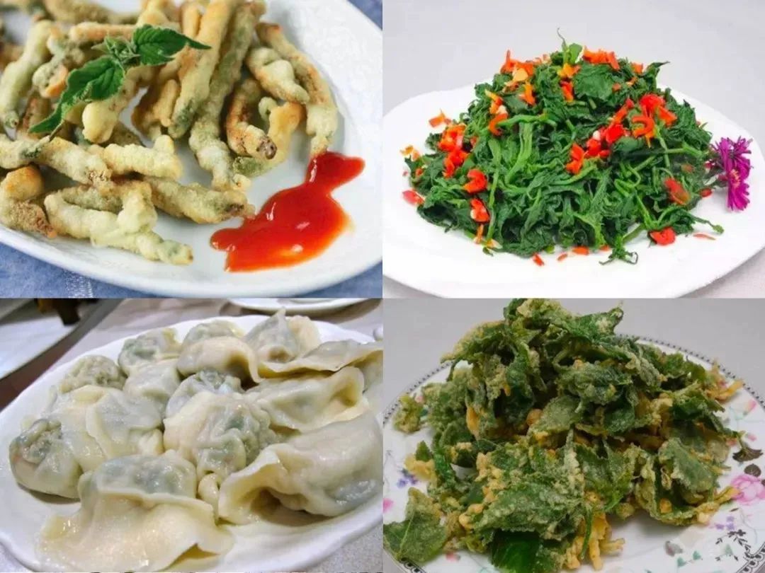 天然手工炒制富硒茶（富硒茶叶的工艺流程）-硒宝网