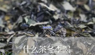 富硒高山茶是什么茶(高山富硒茶多少钱一斤)-硒宝网