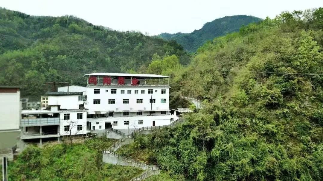 天然手工炒制富硒茶（手工炒天然茶制富硒的方法）-硒宝网