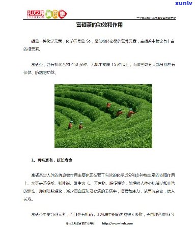 陕西哪里产富硒茶多（陕西富硒茶属于什么茶）-硒宝网