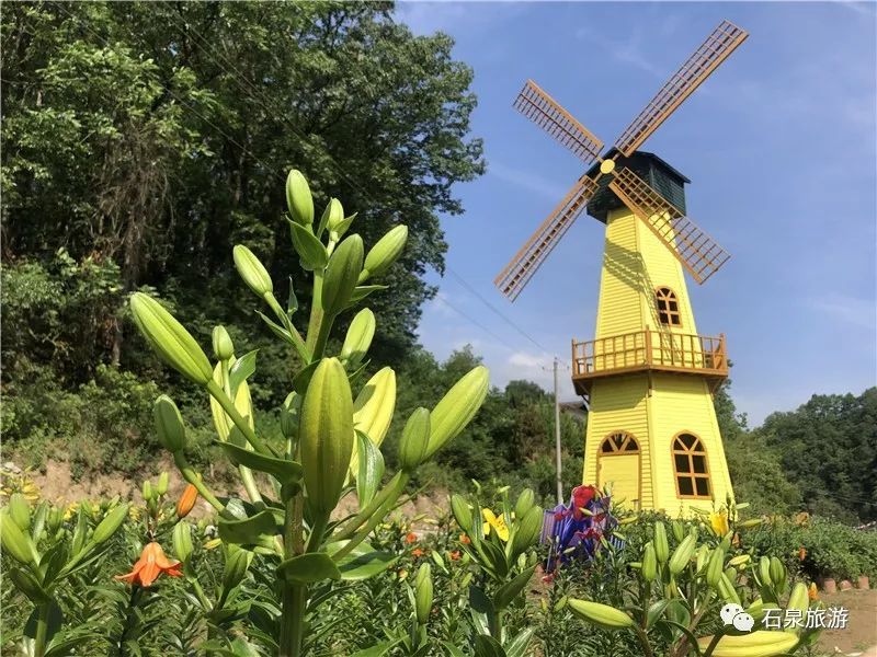 安康富硒茶不用洗吗(安康富硒茶多少钱一斤)-硒宝网