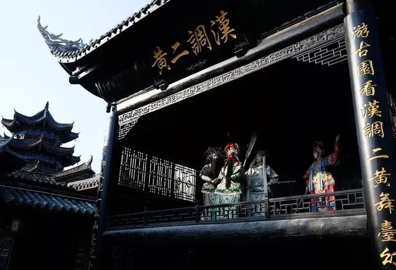 安康富硒茶不用洗吗(安康富硒茶多少钱一斤)-硒宝网