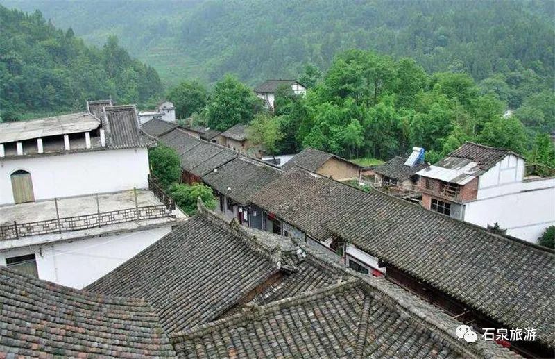 安康富硒茶不用洗吗(安康富硒茶多少钱一斤)-硒宝网