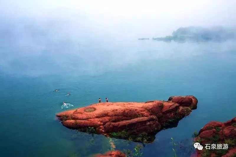 安康富硒茶不用洗吗(安康富硒茶多少钱一斤)-硒宝网