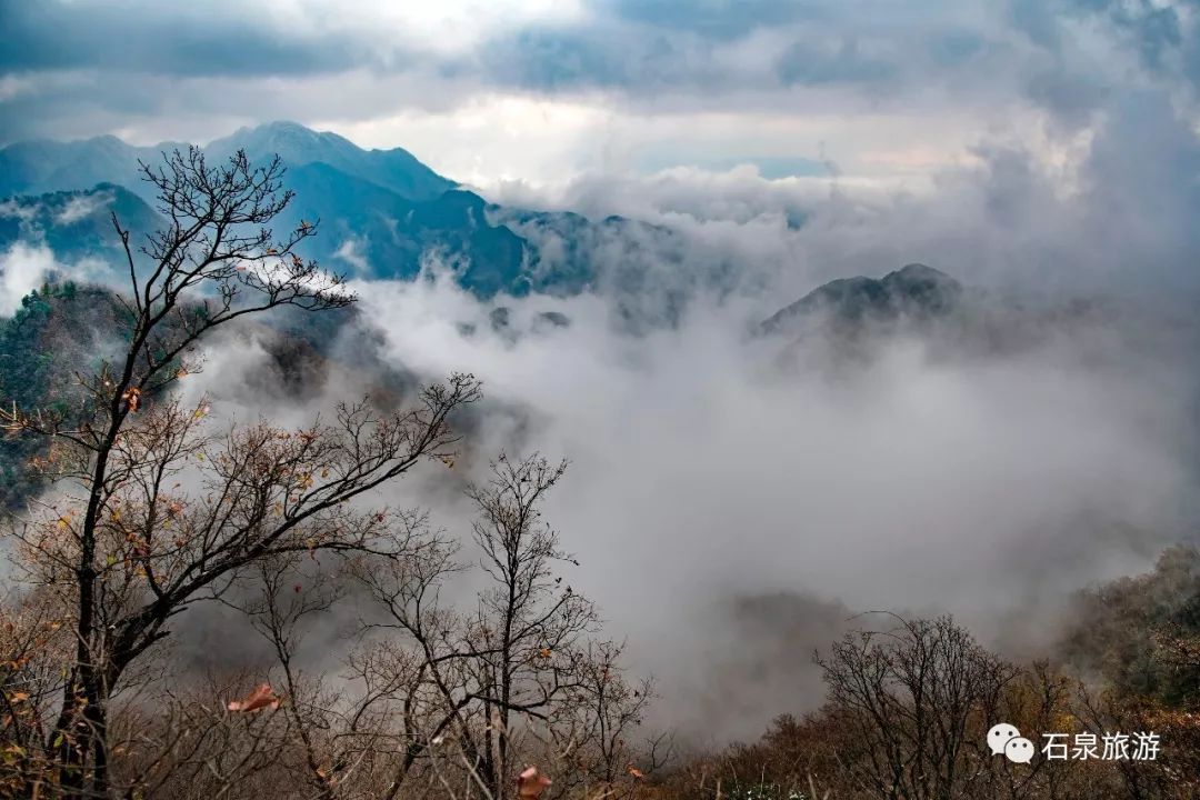 安康富硒茶不用洗吗(安康富硒茶多少钱一斤)-硒宝网