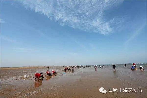 瀚林春 有机富硒茶（富硒茶园）-硒宝网