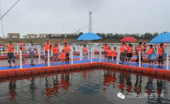 瀚林春 有机富硒茶（富硒茶园）-硒宝网