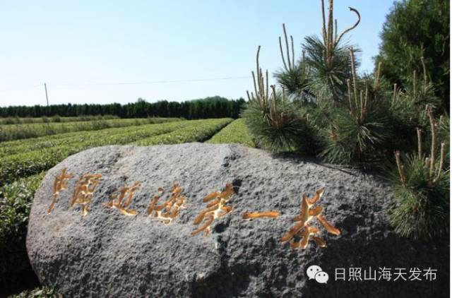 瀚林春 有机富硒茶（富硒茶园）-硒宝网